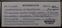 Image Associated With the Occurence